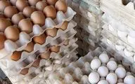  آزاد شدن صادرات، تخم مرغ را گران کرد