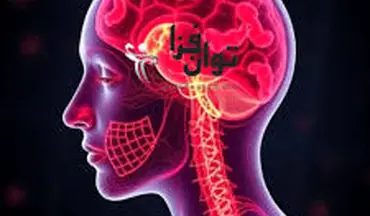 آیا زنانی که سیستم ایمنی  آنها ضعیف است باردار نمی شوند؟