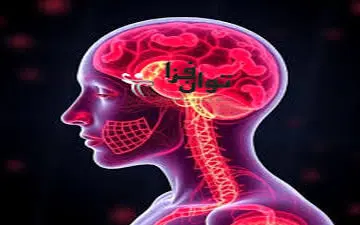 آیا زنانی که سیستم ایمنی  آنها ضعیف است باردار نمی شوند؟