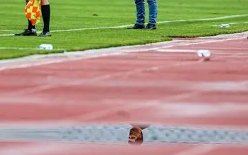 ابهامات در مورد نیمکت پیکان در لیگ بیست و سوم؛ گزینه اول هدایت خودروسازان معرفی شد