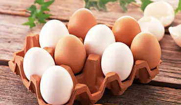 روزانه یک عدد تخم مرغ بخورید