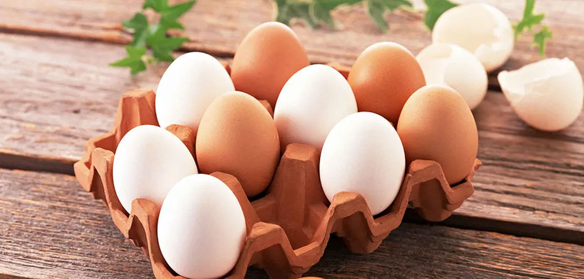 روزانه یک عدد تخم مرغ بخورید