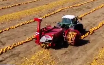 ماشین جالبی که مراحل برداشت تا تهیه تخم کدو را یک تنه انجام می‌دهد! + فیلم 