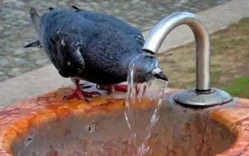 گرمای تهران رکورد زد