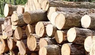 کشف ۵ تن چوب قاچاق در آران و بیدگل