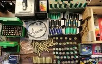  کشفیات پلیس از شکارچیان یوزپلنگ در جنت‌آباد تهران!