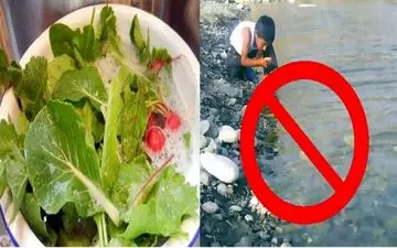  هشدار درباره شایع‌ترین بیماری عفونی در تابستان / بهترین روش شستن سبزیجات +اینفوگرافی