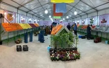 ساعت فعالیت میادین میوه و تره‌بار در روزهای آخر سال