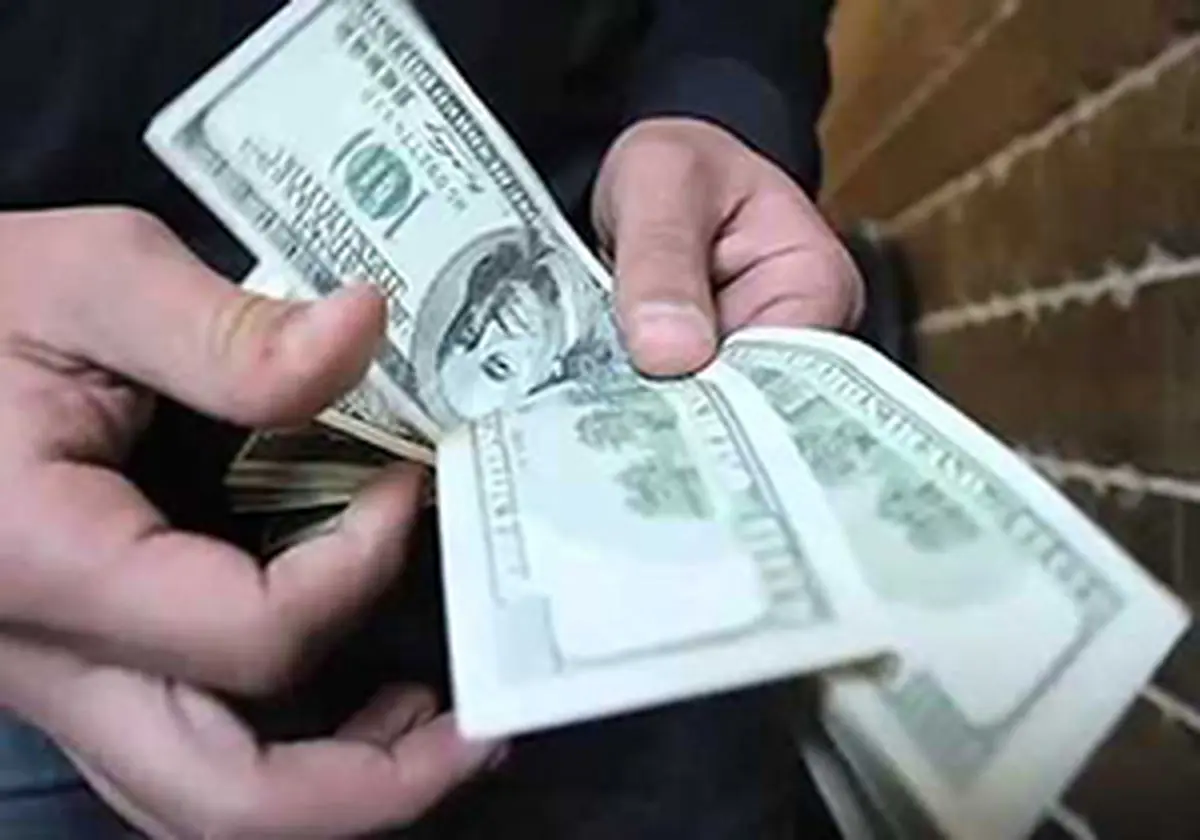 قاچاقچی دلار در مریوان دستگیر شد