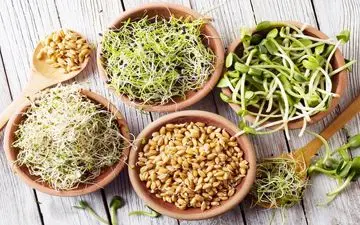 تاثیر جوانه ها بر سلامت بدن