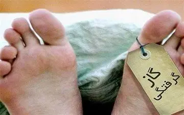 مرگ‌غم آنگیز 3 عضو خانواده در ایلام/ گازگرفتگی ‌در چادر مسافرتی