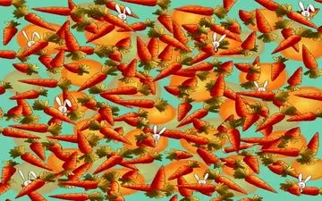 تو 10 ثانیه اگر مداد پنهان در تصویر رو پیدا کردی، خیلی تیزبینی!