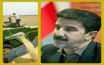 
تمدید مهلت تحویل گندم تولیدی کشاورزان به مراکز خرید