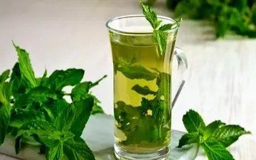 آشنایی با خواص جادویی «عرق نعنا»