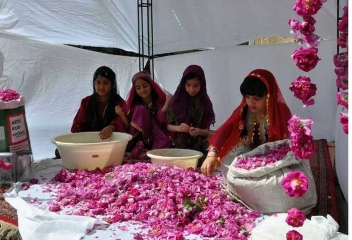 برگزاری سومین جشنواره گلاب گیری در خوی