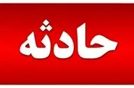 نجات چوپان مجروح از چنگال خرس در ارتفاعات کجور