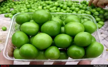 قیمت گوجه سبز در بازار اعلام شد