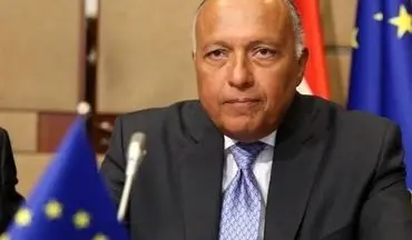سفر وزیر خارجه مصر به ریاض و انتقال نامه السیسی برای سلمان