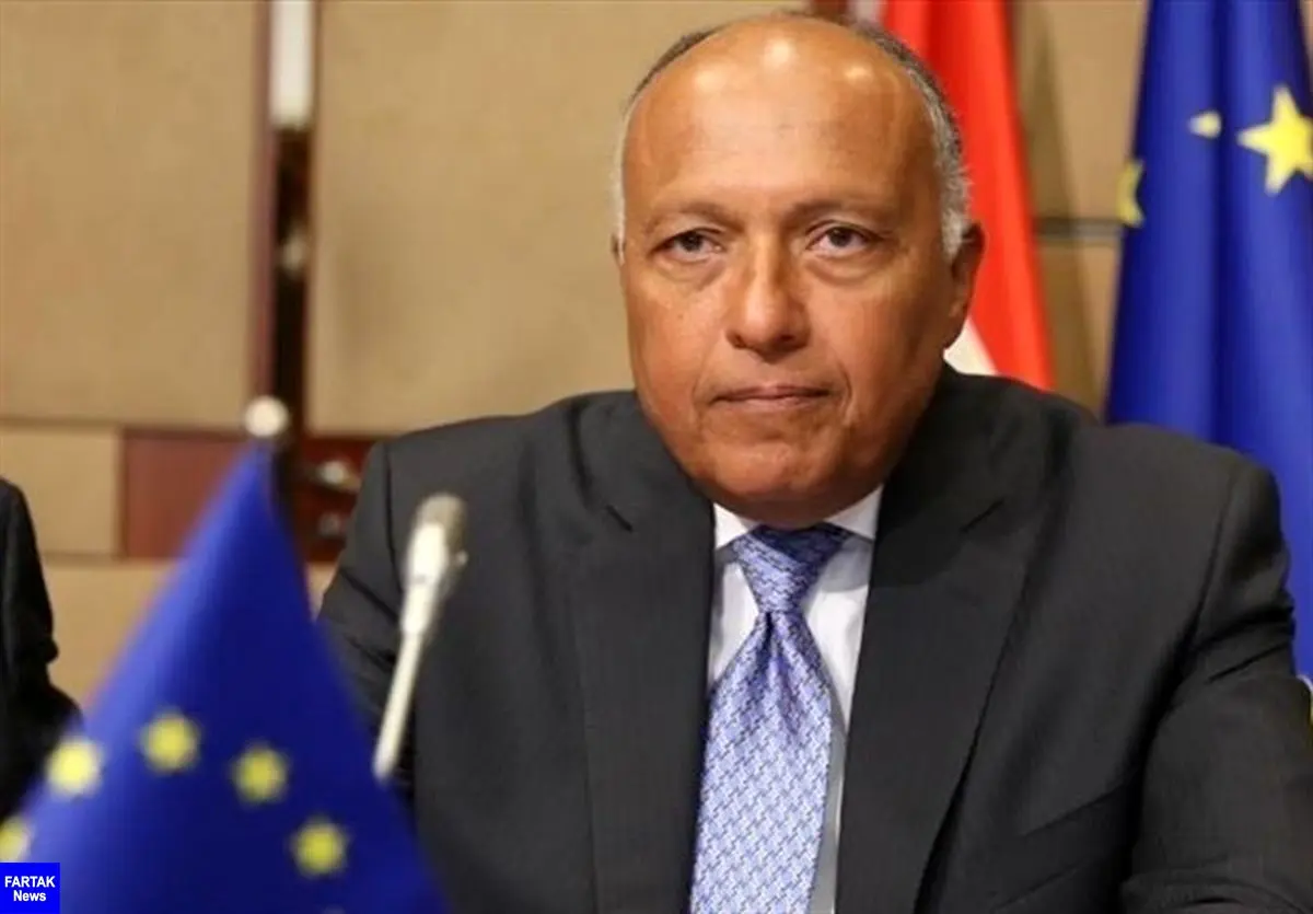 سفر وزیر خارجه مصر به ریاض و انتقال نامه السیسی برای سلمان