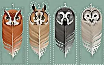 اگر می خواهید خودتان را بهتر بشناسید، این تست شخصیت شناسی را پاسخ دهید