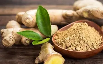 
گیاهی مفیدتر از هر داروی مسکن 