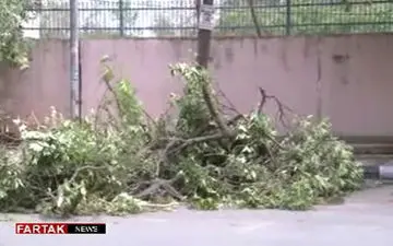 طوفانی که جان 77نفر را گرفت + فیلم