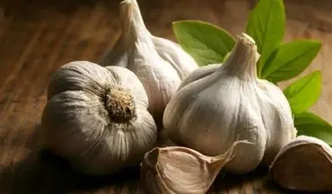 آیا سیر خام ناشتا واقعا برای کاهش وزن مفید است؟