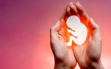 ماجرای نقشه شیطانی داماد و خواهرانش برای تازه عروس!