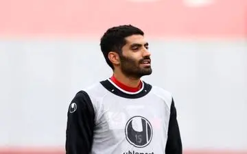 انصاری خیال گل محمدی را راحت کرد