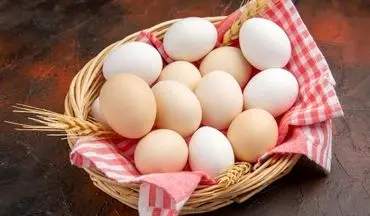 نیاز بدن ما به  تخم مرغ چند عدد در روز است؟