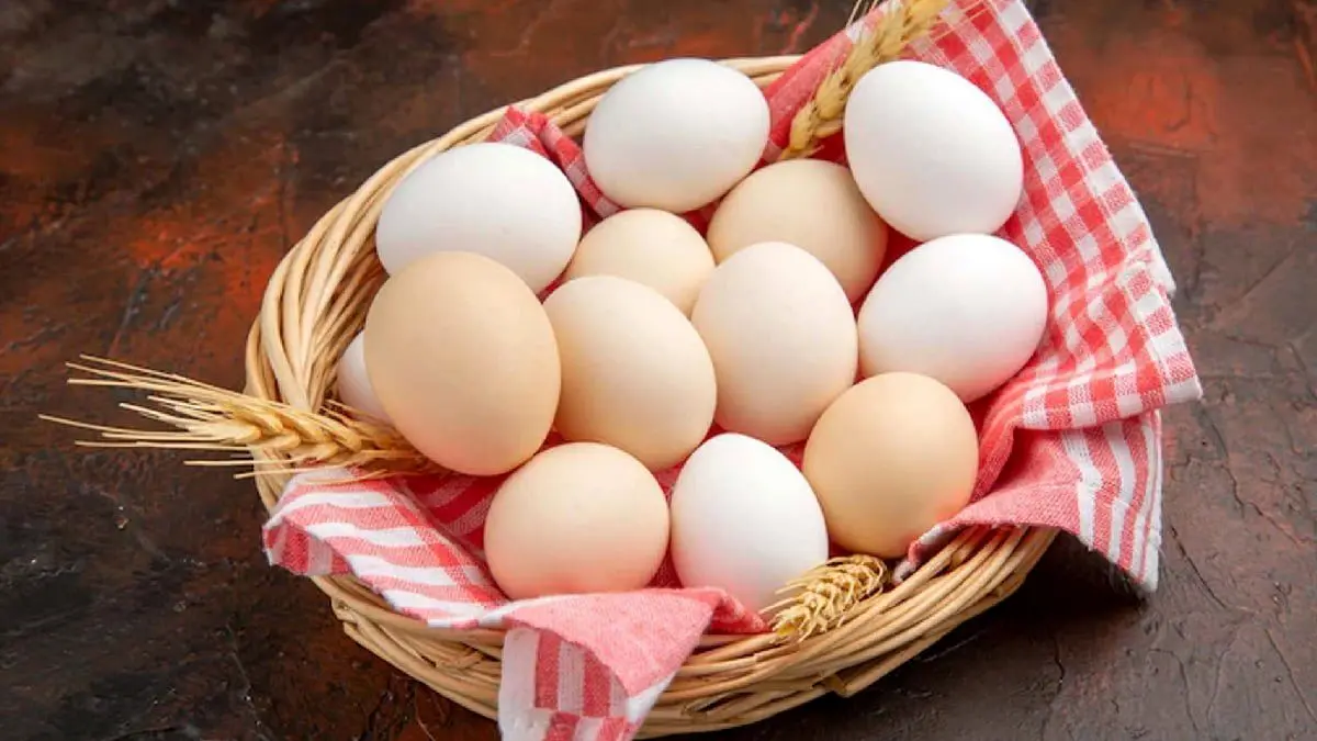 نیاز بدن ما به تخم مرغ چند عدد در روز است؟