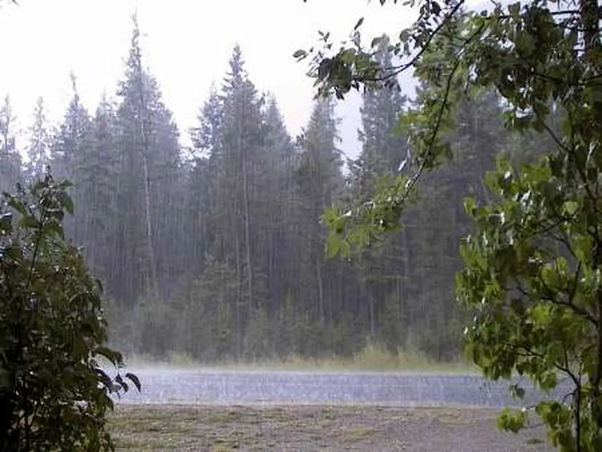 بارش ها برخی از مناطق کشور را در برمی گیرد