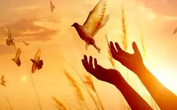 رهایی ۲ زندانی محکوم به قصاص در بوشهر