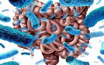 ورزشی مفید برای سلامت روده

