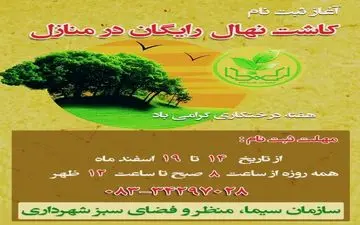 آغاز ثبت‌نام توزیع و کاشت نهال رایگان میوه در منازل