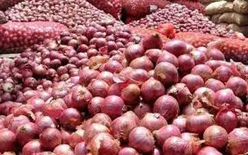 قیمت پیاز اشک مردم را درآورد + قیمت جدید