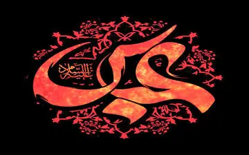 در کربلا «عبد صالح» لقب کیست؟

