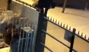  سارق بدشانسی بین زمین و هوا گیر افتاد!