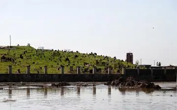  پرداخت ۱۴ میلیارد تومان کمک بلاعوض به کشاورزان سیل‌زده گلستانی