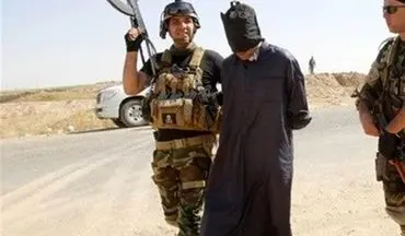 تروریست داعشی در سامراء دستگیر شد