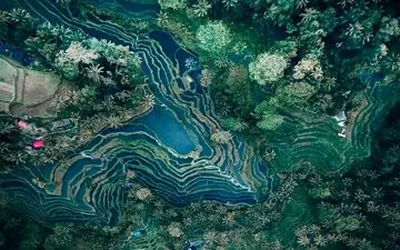 عکس منتخب نشنال جئوگرافیک | تراس های پلکانی کشت برنج 