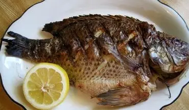 ماهی پرطرفدار تیلاپیا چه بلایی بر سر شما می‌آورد؟+ فیلم 