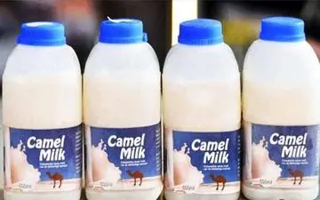 خواص شگفت انگیز این نوع شیر که از آن بی خبرید