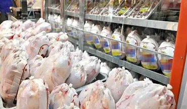 مرغ منجمد کیلویی چند شد؟ | توزیع روزانه ۵۰ تن مرغ منجمد در تهران
