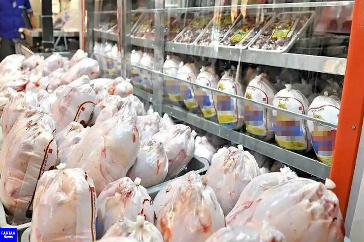 مرغ منجمد کیلویی چند شد؟ | توزیع روزانه ۵۰ تن مرغ منجمد در تهران
