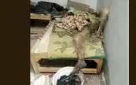 راز عجیب اسکلت شدن مرد روی تخت خانه متروکه