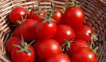 بعد از خوردن گوجه فرنگی شاهد 7 اثر تکان دهنده در بدن خواهید بود 