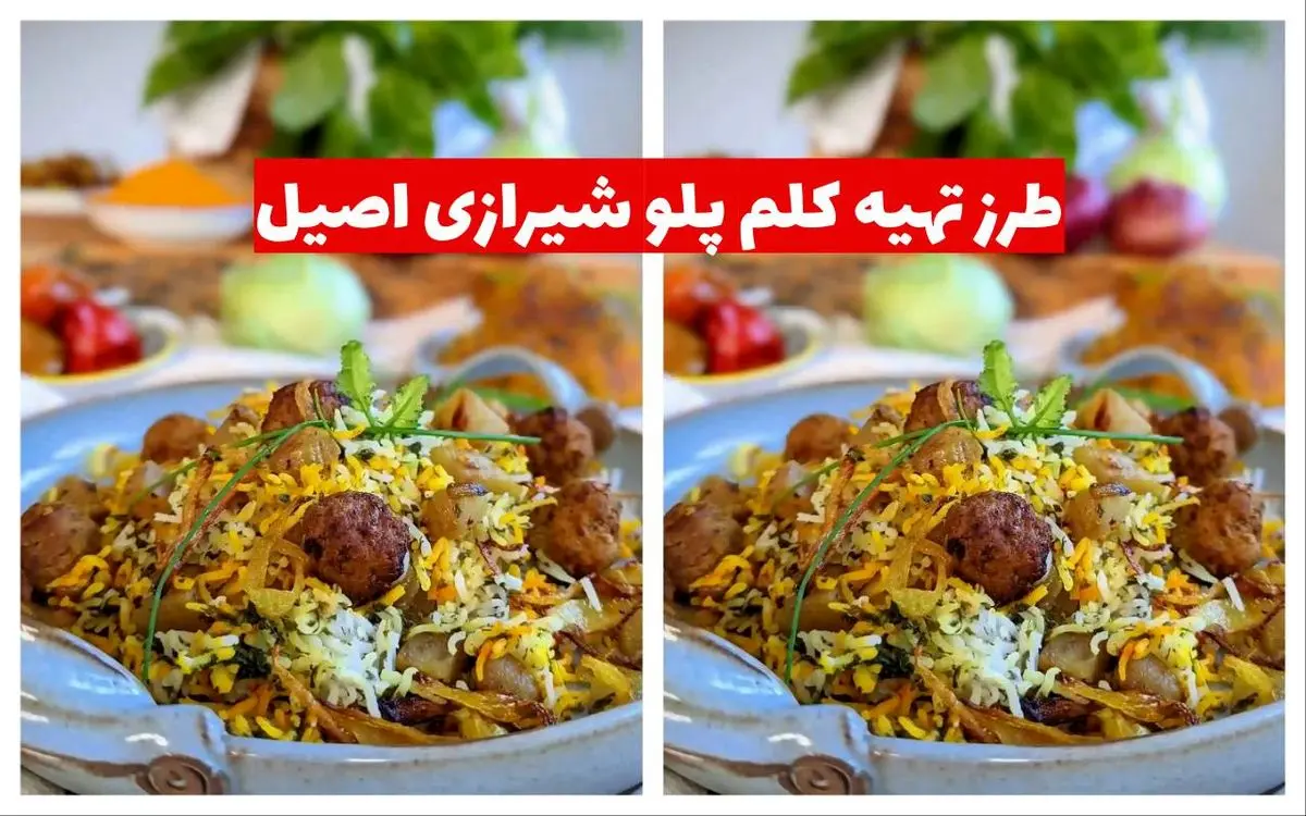 طرز تهیه کلم پلو شیرازی اصیل: رازهای یک غذای خوشمزه