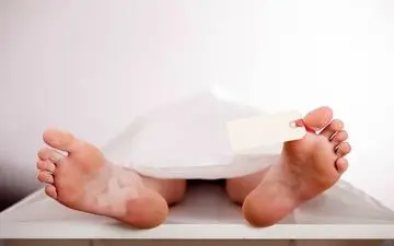 
علت فوت مادر و دختر در پی مصرف گیاهان دارویی در چهارمحال و بختیاری چه بود؟
