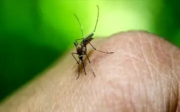 برای تب دنگی هرگز این مسکن‌ها را مصرف نکنید